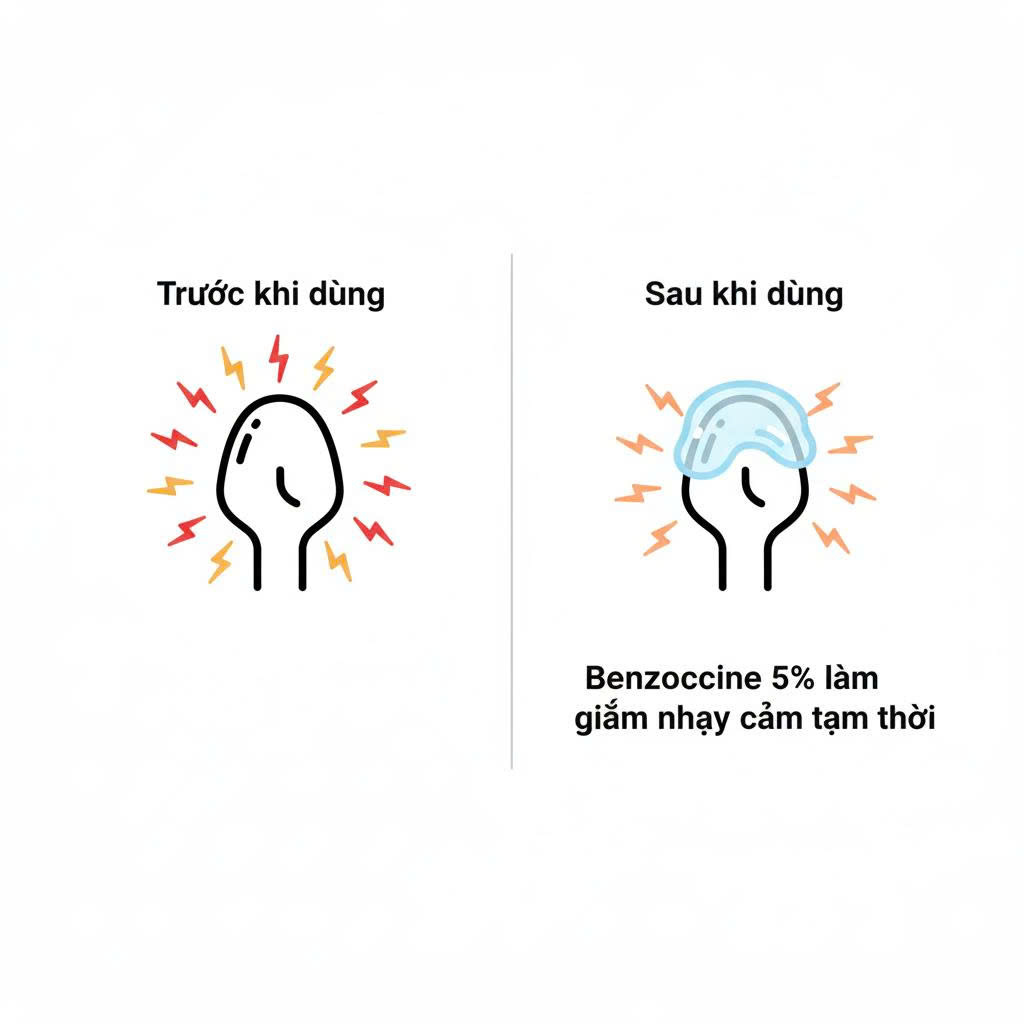 Infographic khoa học giải thích cơ chế hoạt động của bao cao su kéo dài thời gian, cho thấy chất Benzocaine giúp giảm nhạy cảm ở đầu dương vật.